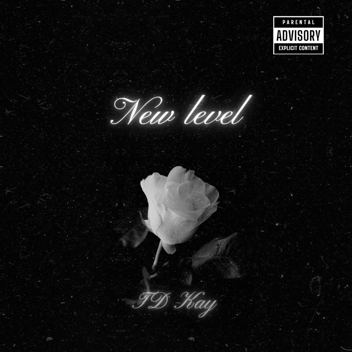 New Level by TD Kay album cover