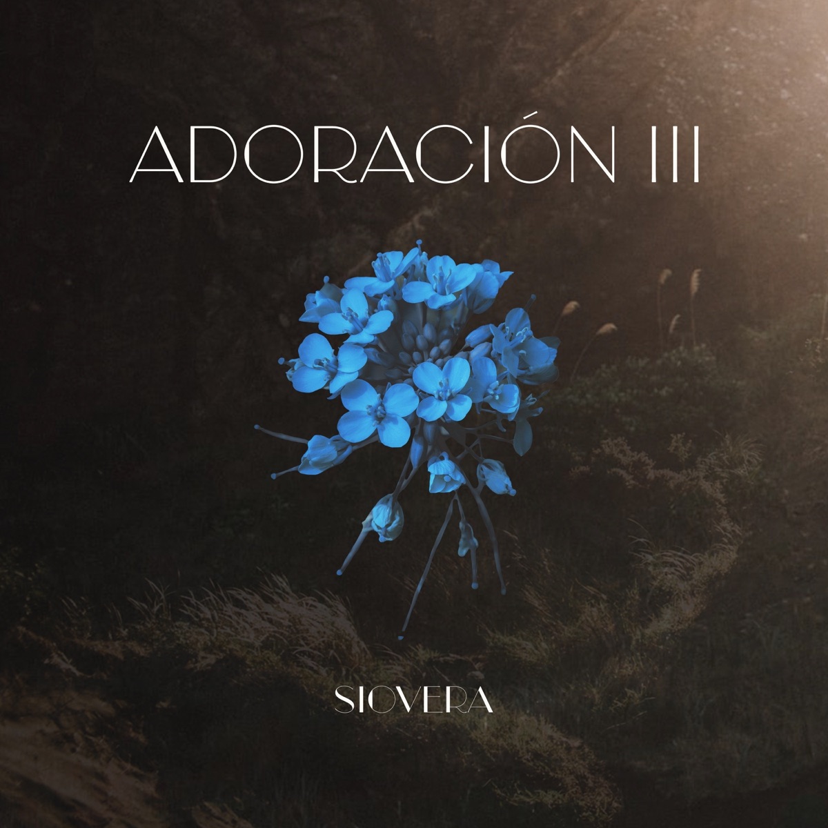 Adoración III by Anthem Worship Español & SioVera album cover