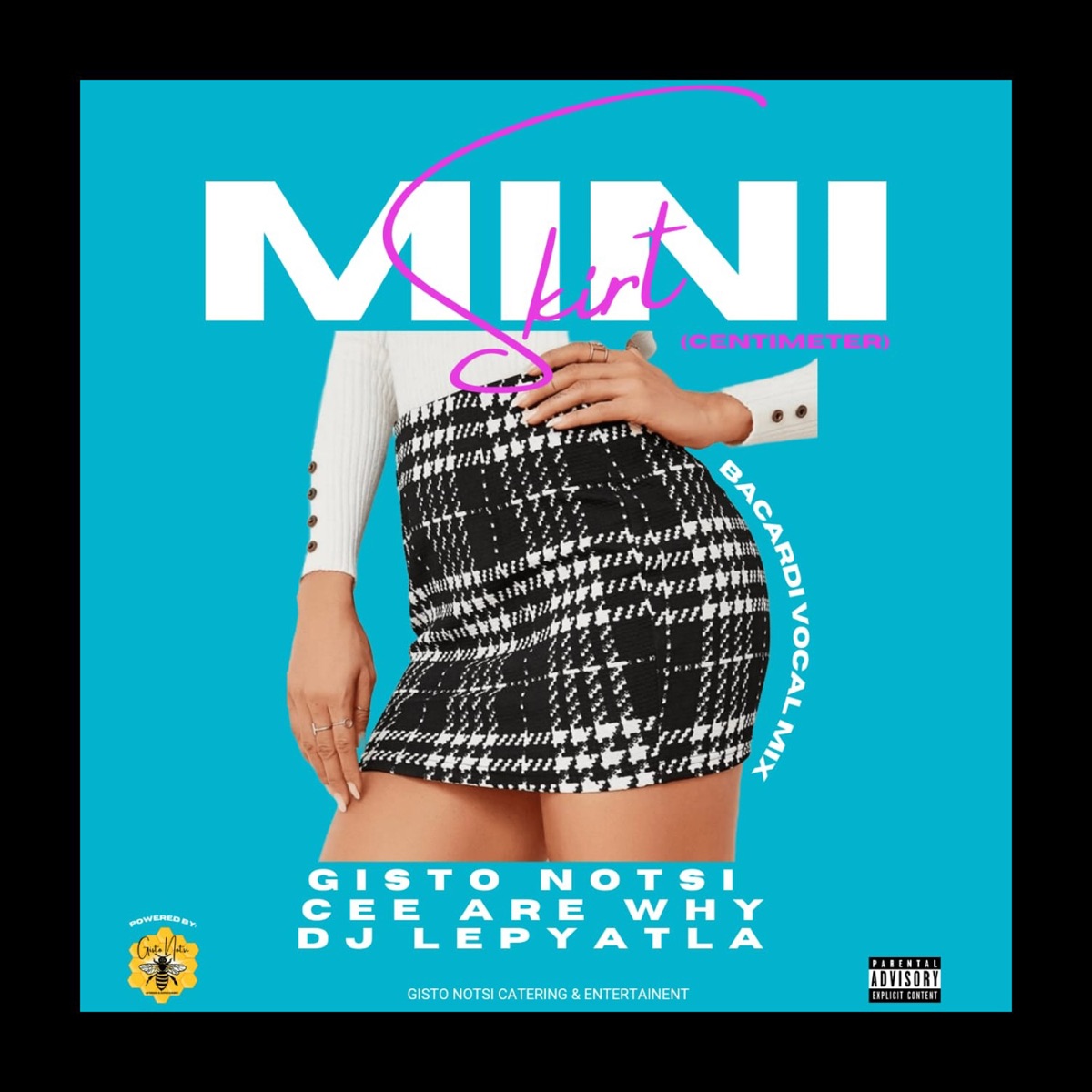 Mini Skirt (feat. Cee Are Why) [Barcadi Mix] - Single by Cee Are Why, Dj Lepyatla & Gisto Notsi album cover