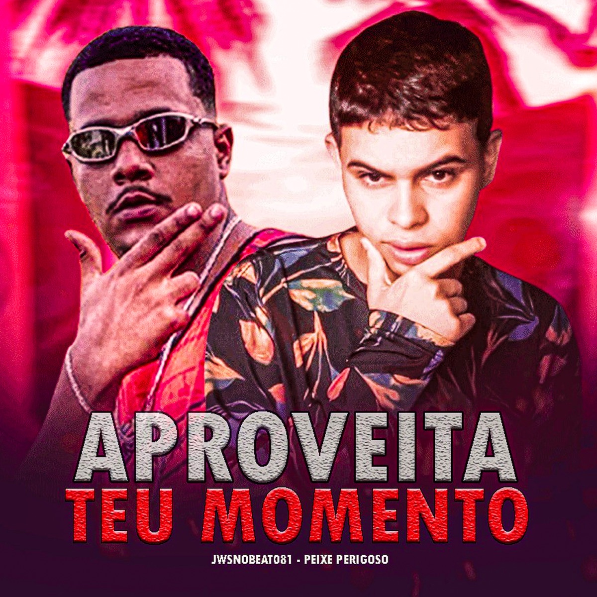 Aproveita Teu Momento (feat. 100PanoProdutora) - Single by JwsNoBeat081 & Peixe Perigoso album cover