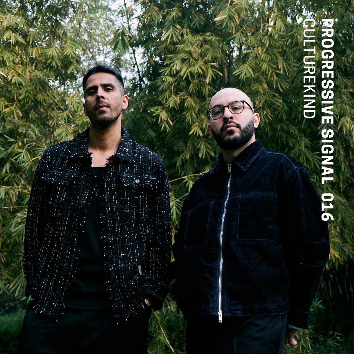 Progressive Signal 016: CultureKind (DJ Mix) by CultureKind album cover