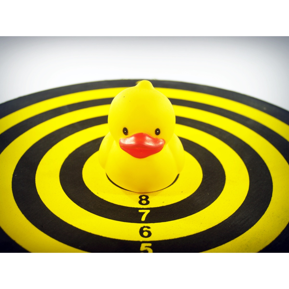 Duck - Single by D\N album cover
