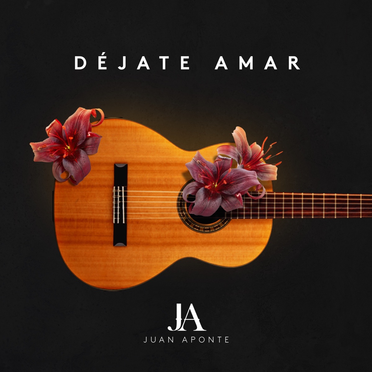 Déjate Amar - Single by Juan Aponte album cover