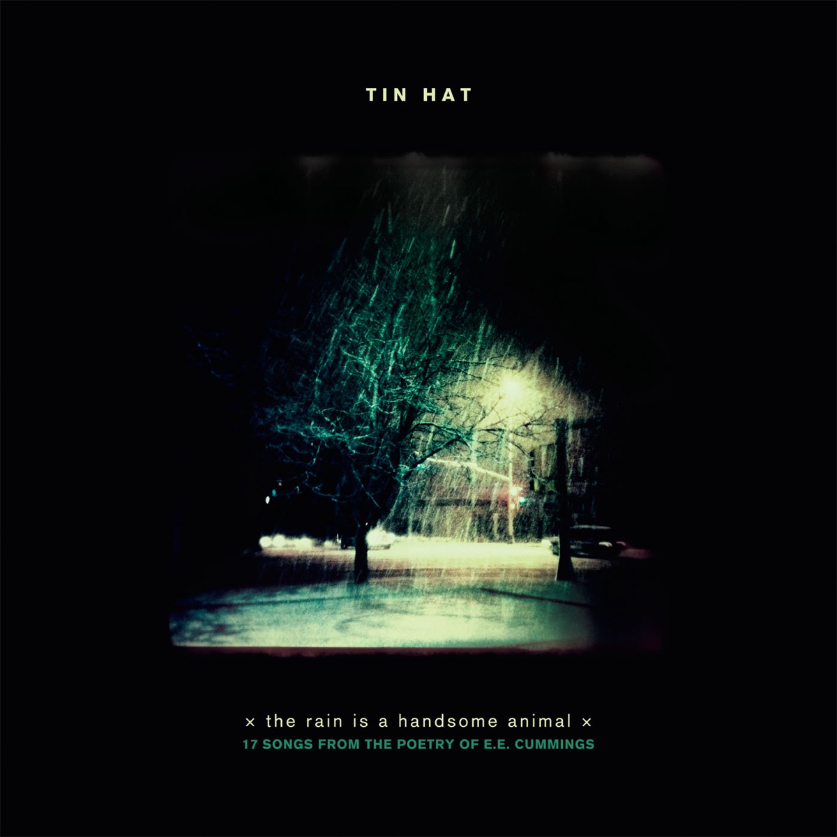Tin Hat: The Rain Is a Handsome Animal (17 Songs from the Poetry of E.E.Cummings) by Tin Hat album cover