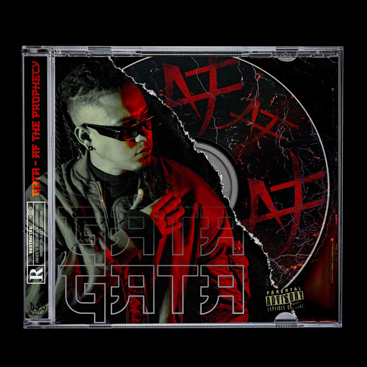 Gata (feat. Bossavescomohe) - Single by AF The Prophecy album cover