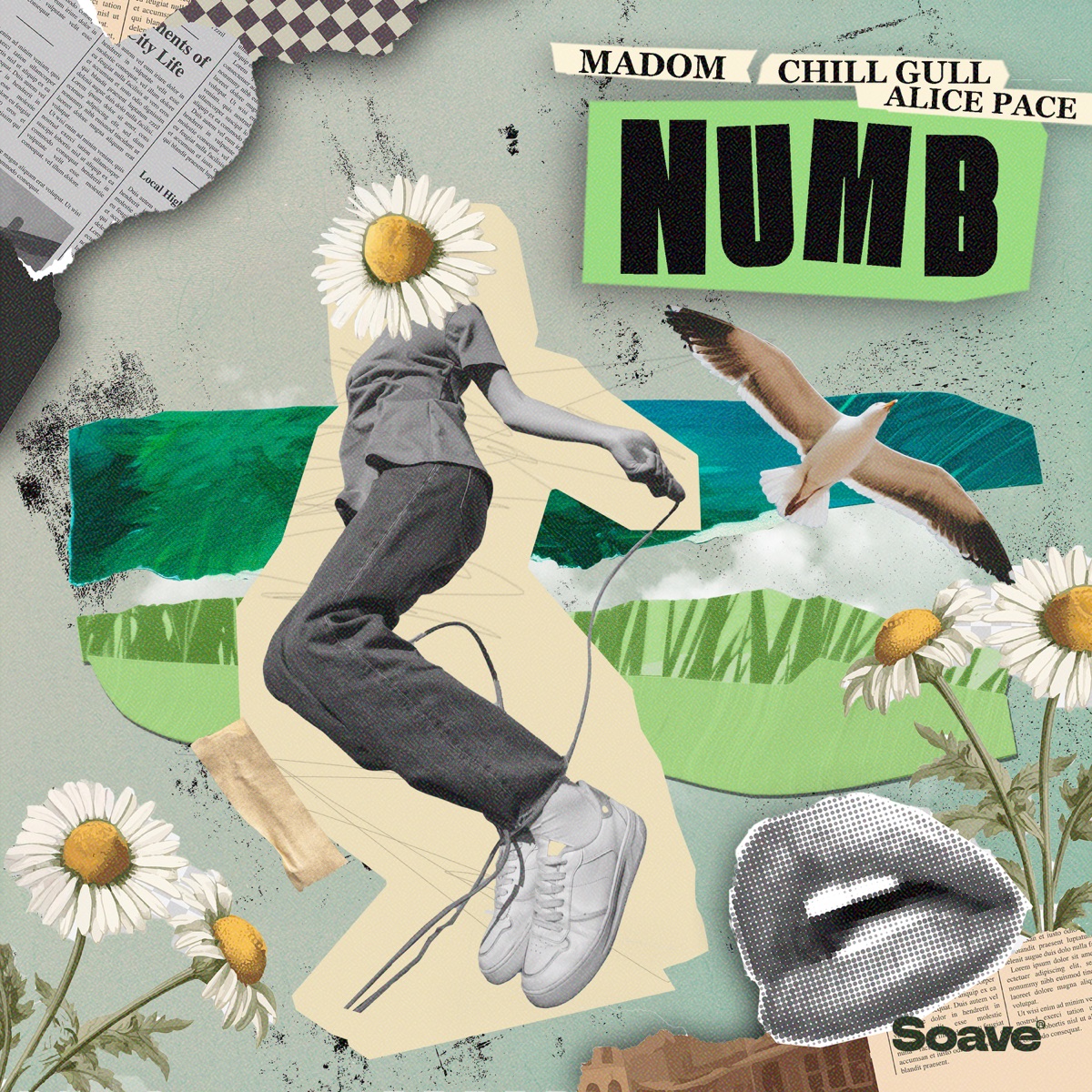 Numb - Single by Madom, Chill Gull & Alice Pace album cover