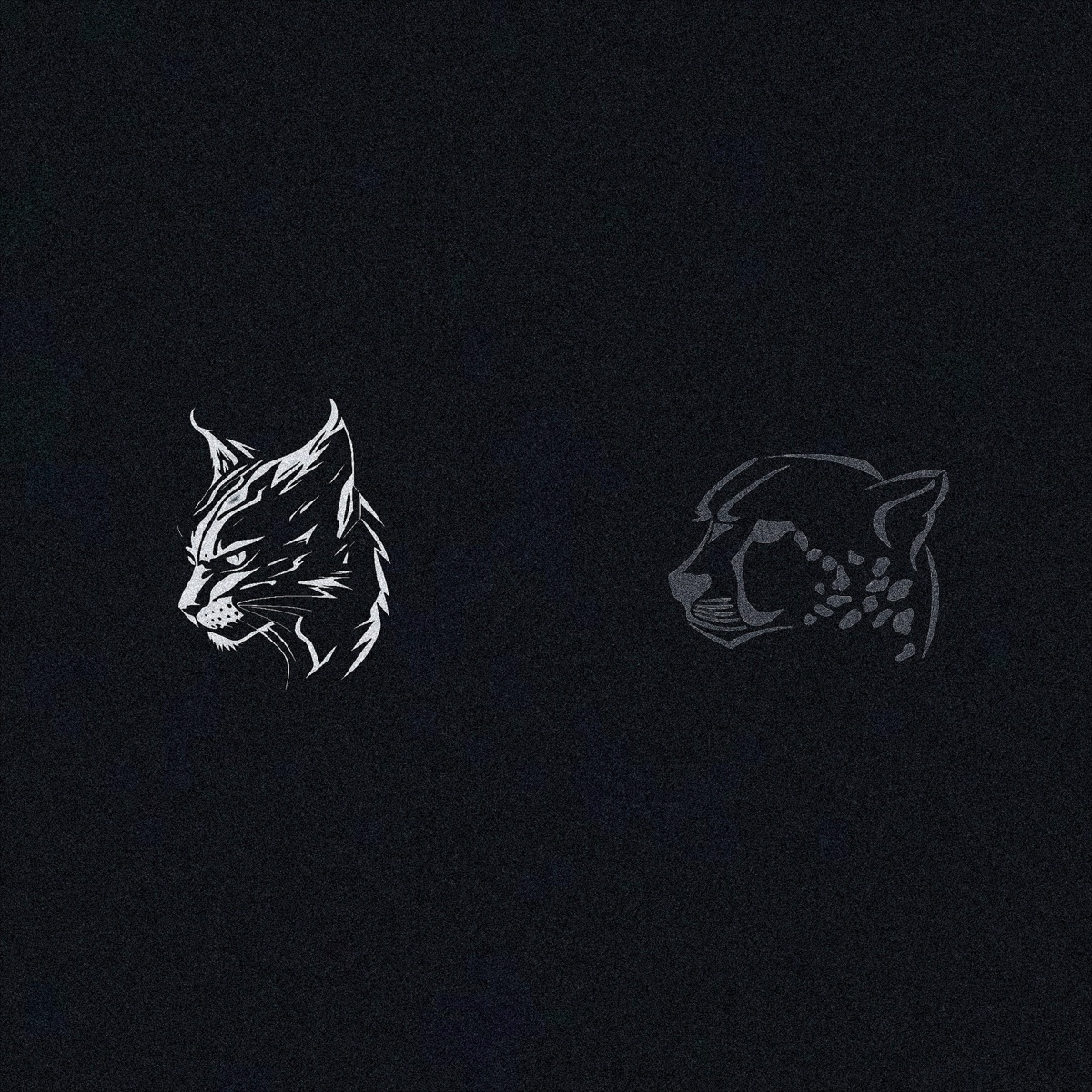 Фестиваль Пум - Single by DZ30 & DXRK LEMXR album cover