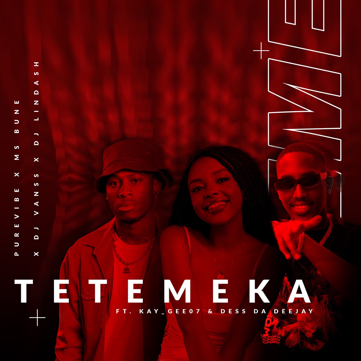 Tetemeka (feat. Dj VansS, Kay_Gee07, Dess Da Deejay) - Single by PureVibe, Dj Lindash & Ms Bune album cover