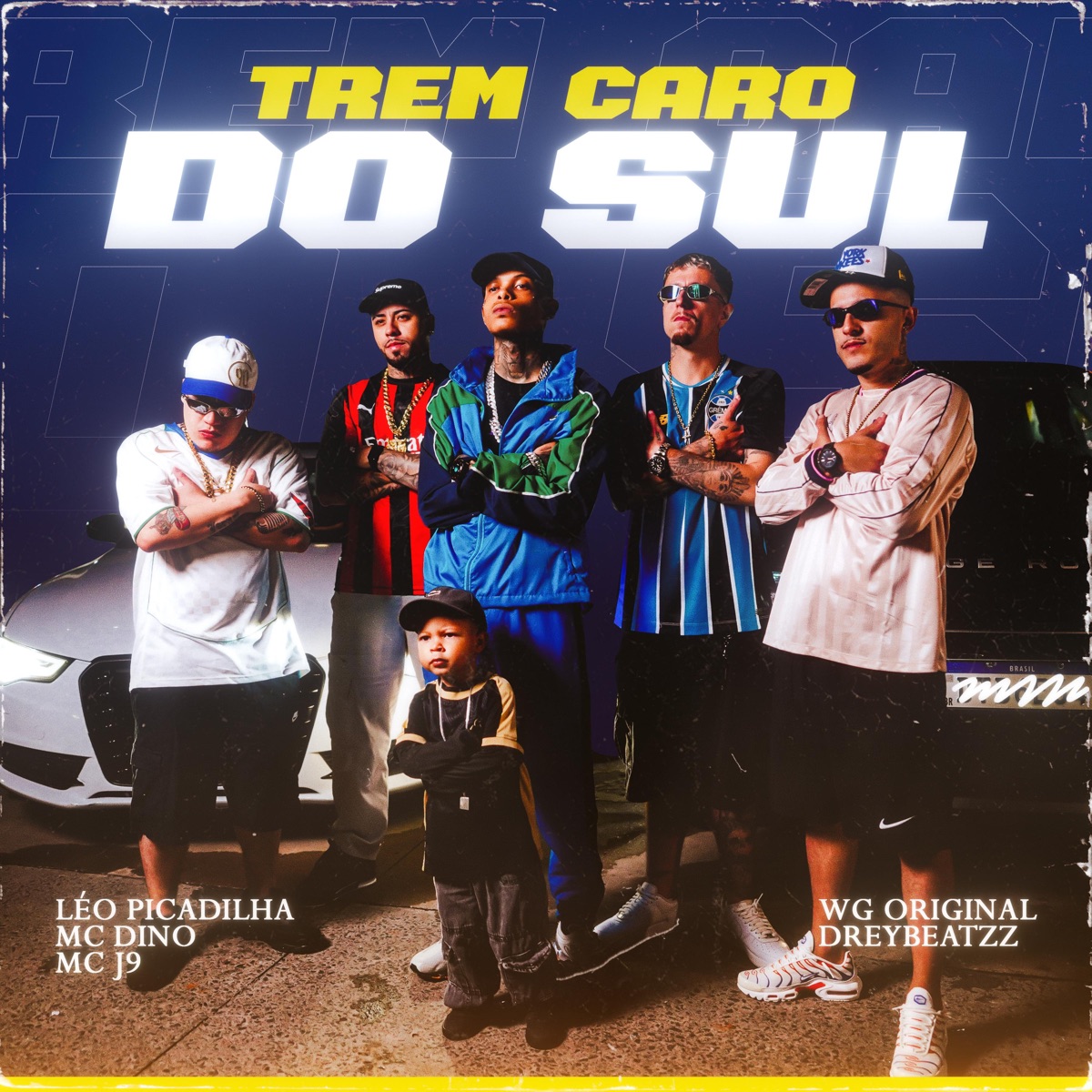 ZERO5UM TREM CARO DO SUL (feat. Léo Picadilha, dreybeatzz & Rifé) - Single by ZERO5UM, Mc J9, MC Dino & WG ORIGINAL album cover