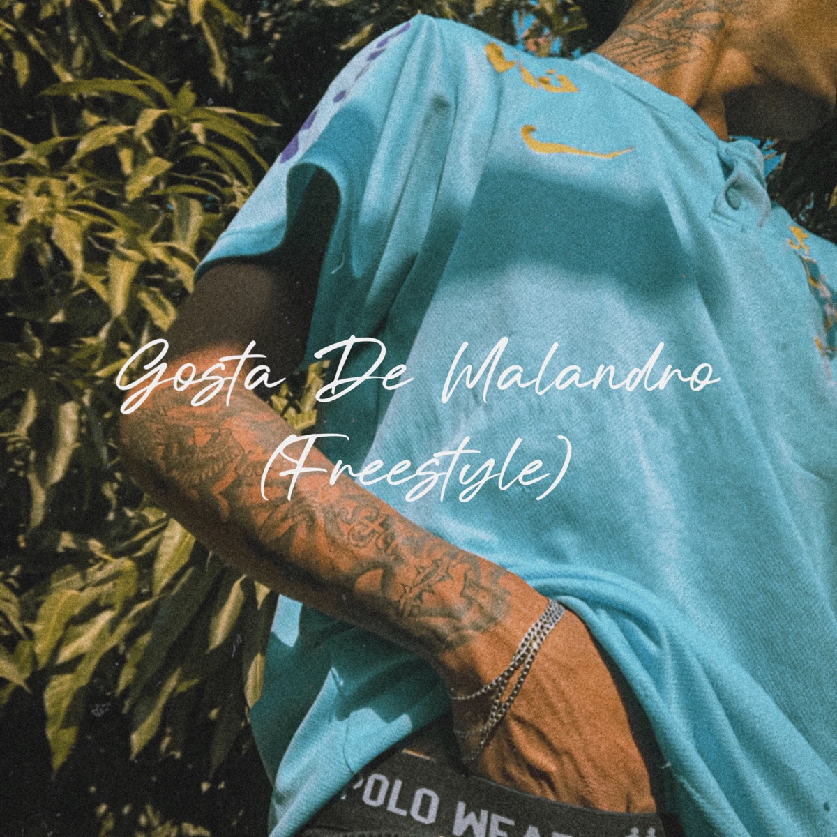 Gosta de Malandro (FREESTYLE) - Single by FRAJOLINHA album cover