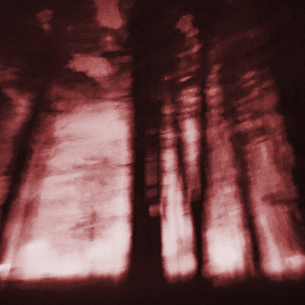 the voices call - Single by RED X album cover