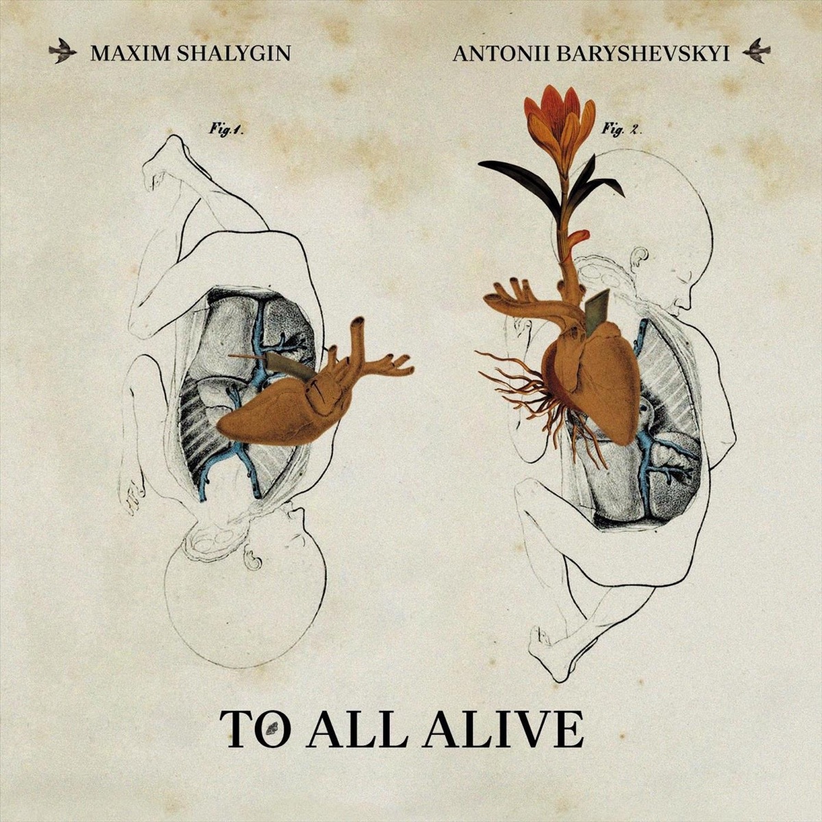 TO ALL ALIVE by Maxim Shalygin & Antonii Baryshevskyi album cover