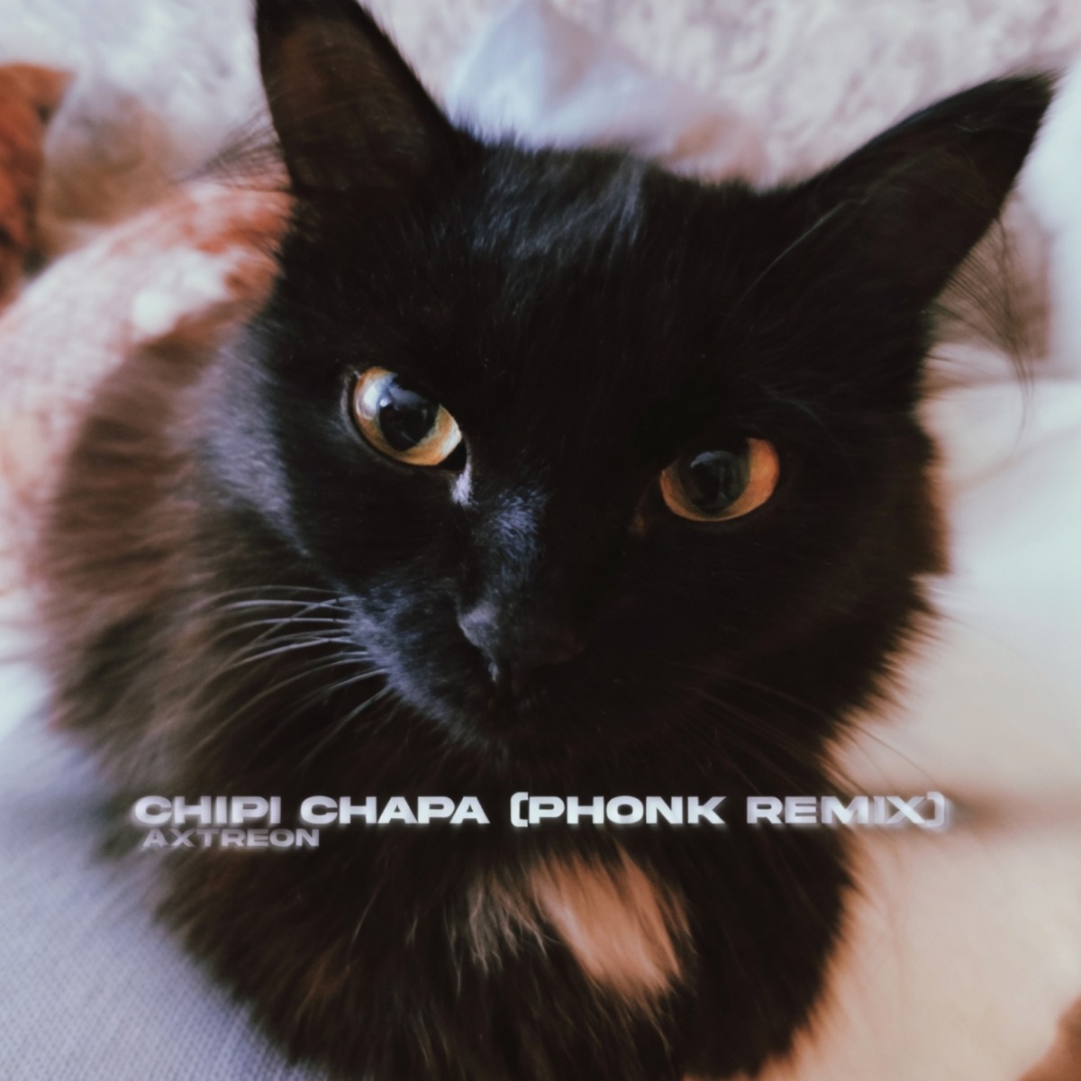 CHIPI CHIPI CHAPA CHAPA (Phonk Remix) - Single by Axtreon album cover
