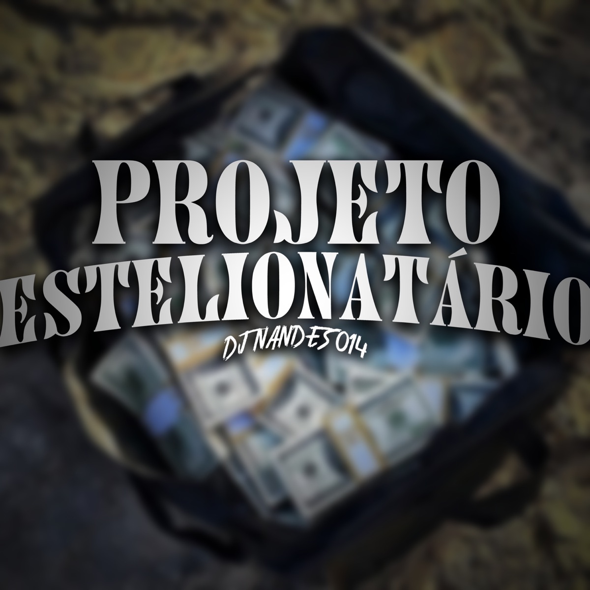 Projeto Estelionatário - Single by DJ NANDES 014 album cover