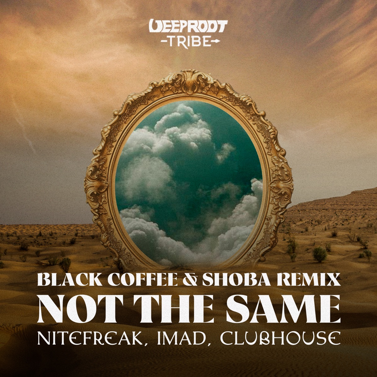 Not the Same (Black Coffee Feat. Shoba Remix) - Single by Nitefreak, Imad, Clubhouse & Shoba album cover