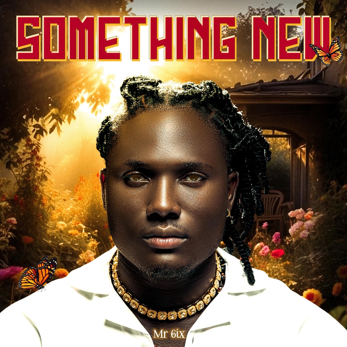 Something New - Single by Mr 6ix album cover