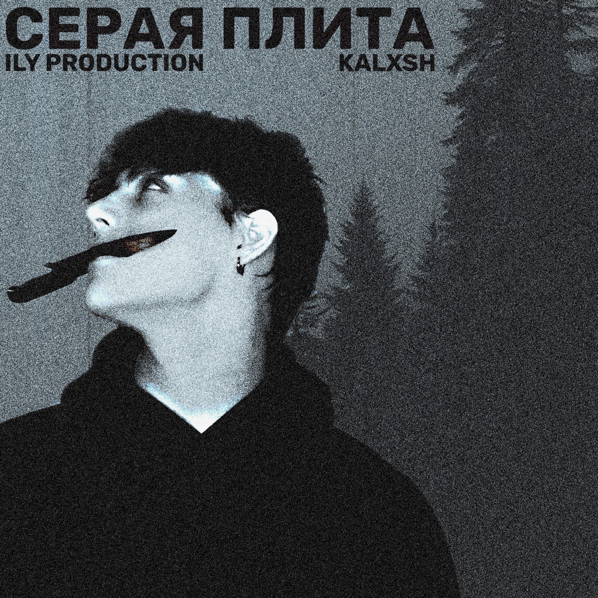 Серая Плита - Single by ILY PRODUCTION & KALXSH album cover