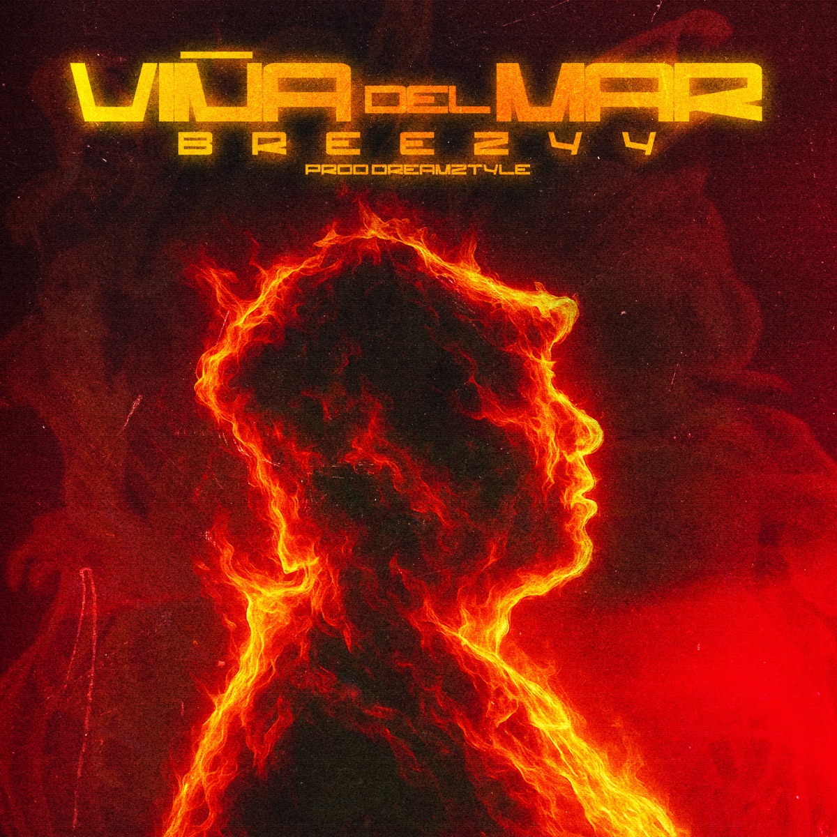 Viña del Mar - Single by Breezyy & DreamZtyle album cover