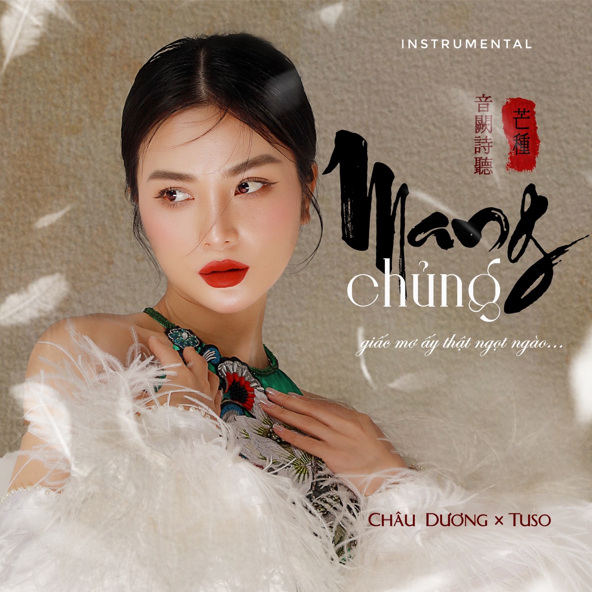 Mang Chủng (feat. DJ TuSo) [Instrumental] - Single by Châu Dương album cover