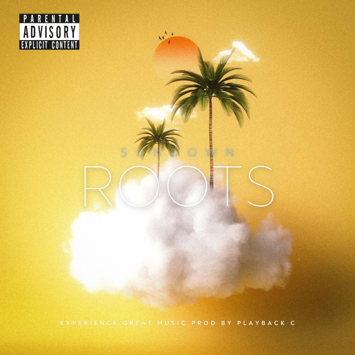 Sundown Roots - Single by Playback C album cover
