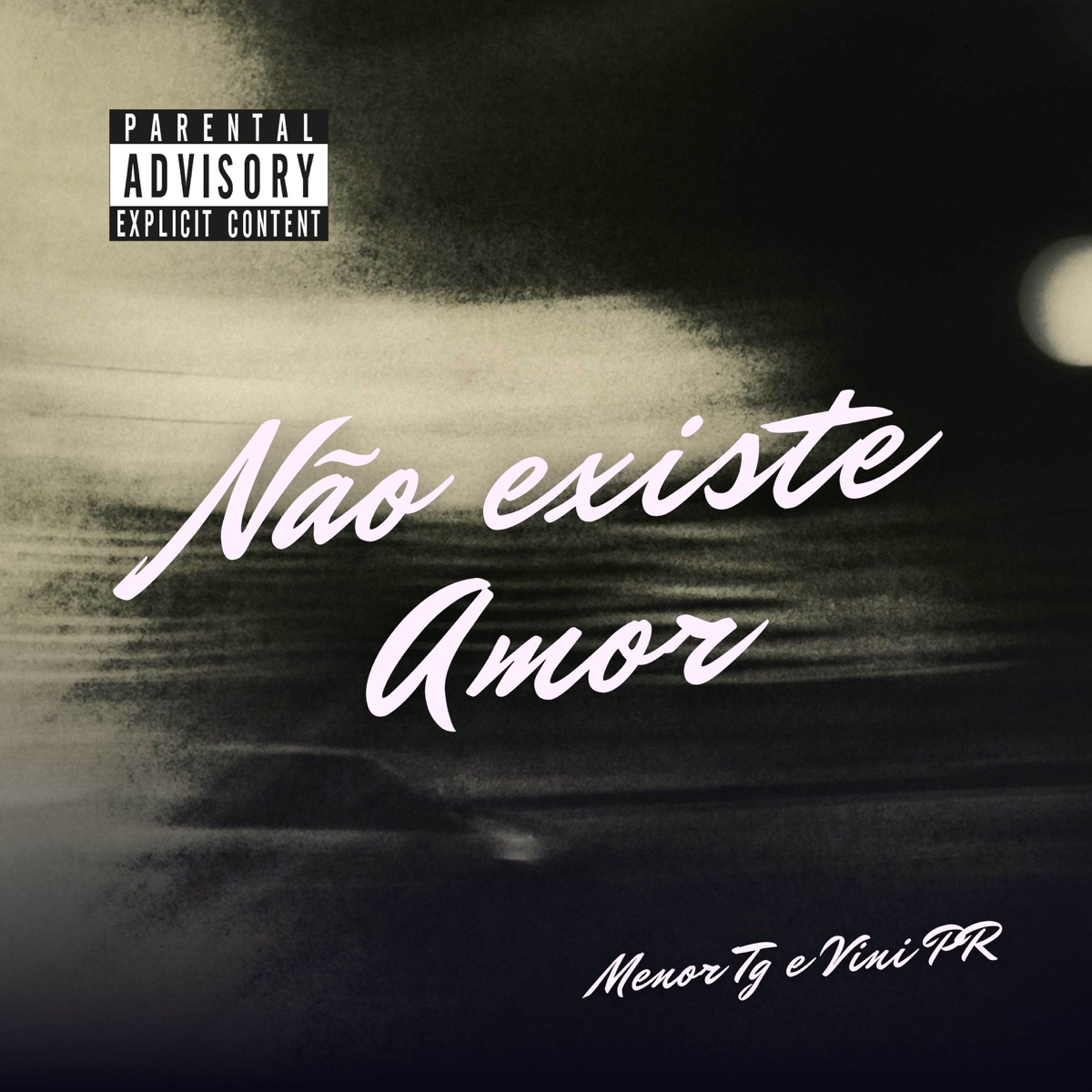 Não Existe Amor - Single by Menor TG, Next Records & MC Vini PR album cover