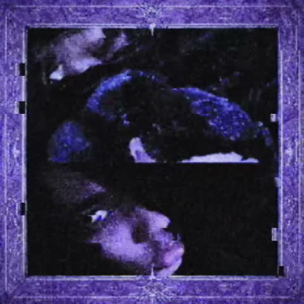 ⸝⸝ R U Not: 3 Sposed 2 Lag ?! >ᴗ< - Single by Trxnch Coat album cover