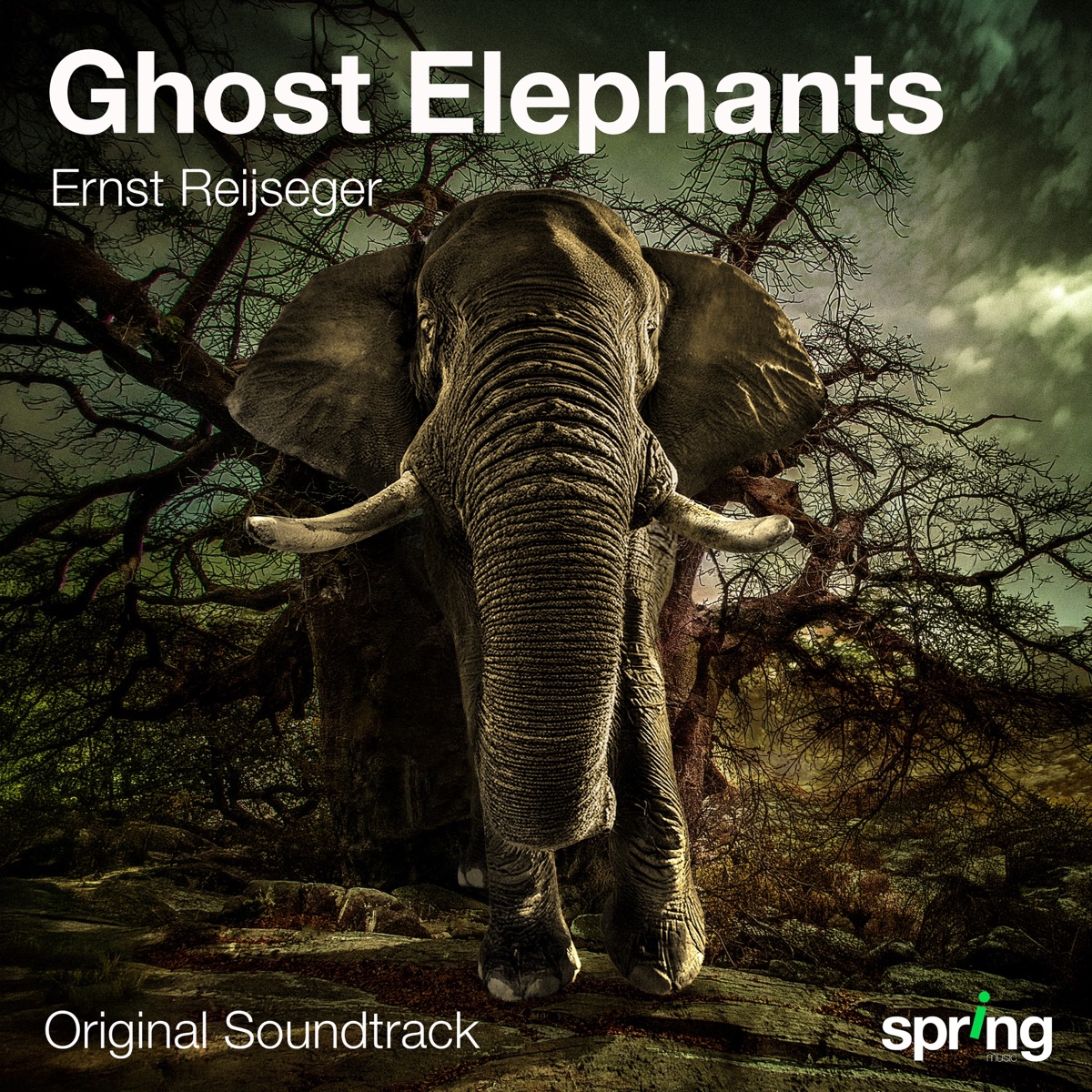 Ghost Elephants (Original Motion Picture Soundtrack) by Ernst Reijseger & Tenore e Cuncordu de Orosei album cover
