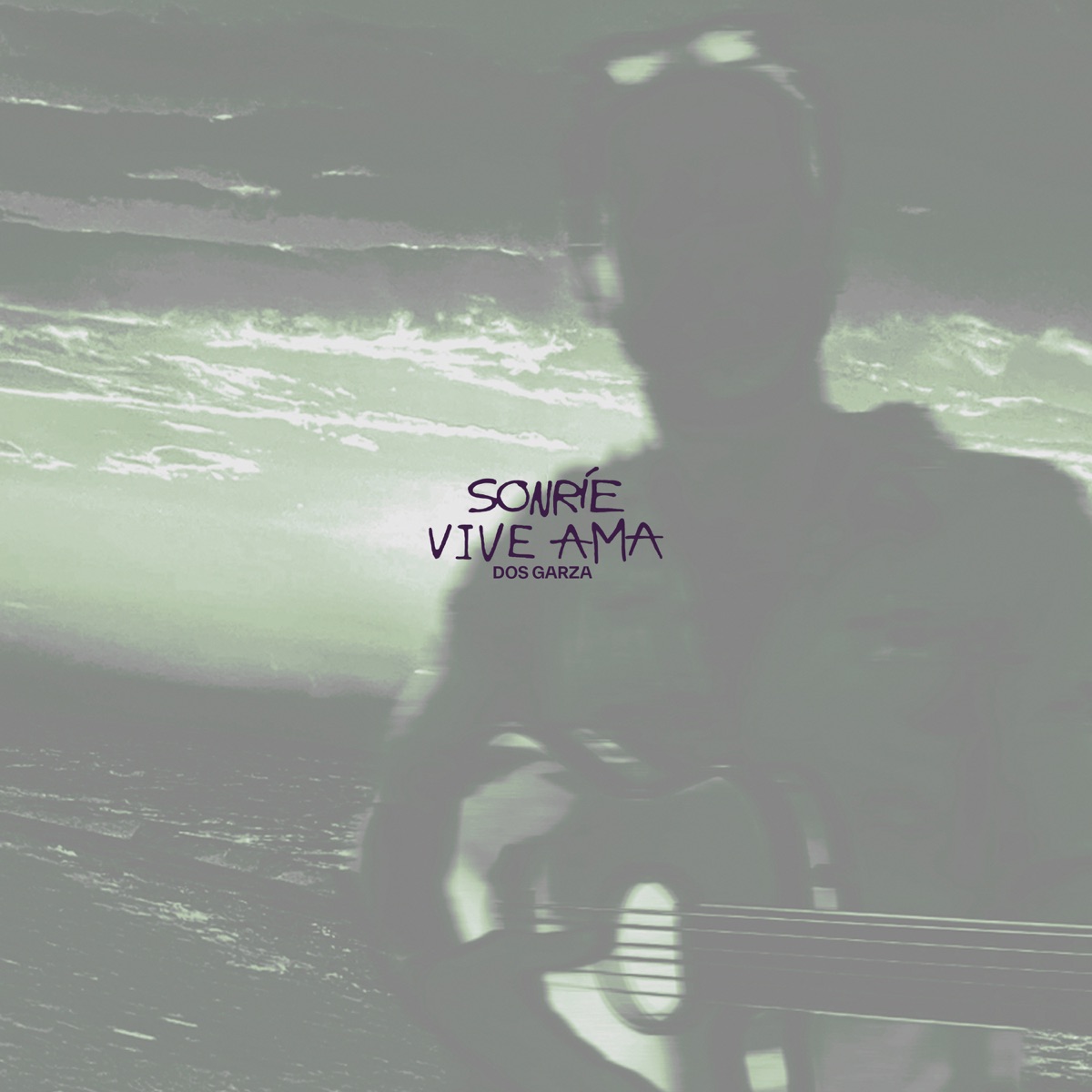 Sonrie Vive Ama - Single by Dos Garza & El Riqué album cover