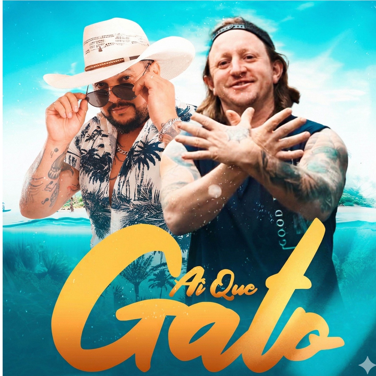 Ai Que Gato - Single by Dianho & Eidi Ribeiro album cover