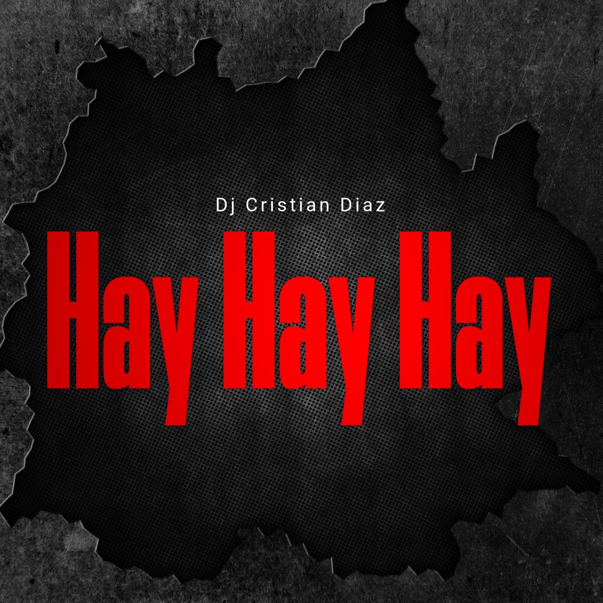 Hay Hay Hay - Single by Dj Cristian Diaz & GUARACHA MeXa album cover