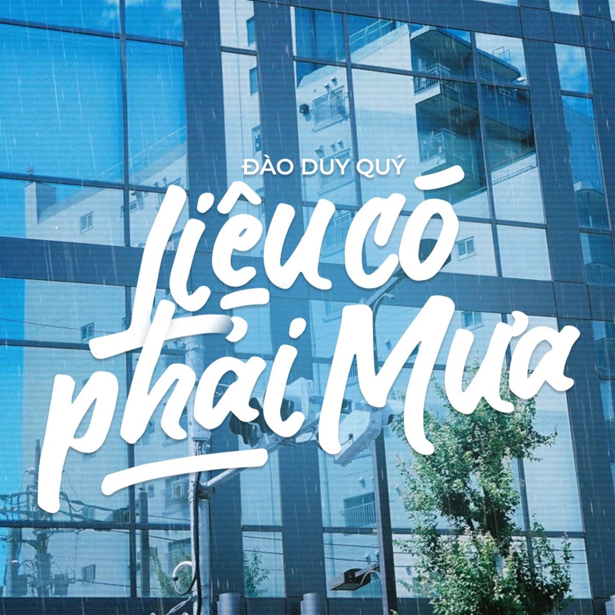 Liệu Có Phải Mưa - Single by Đào Duy Quý album cover