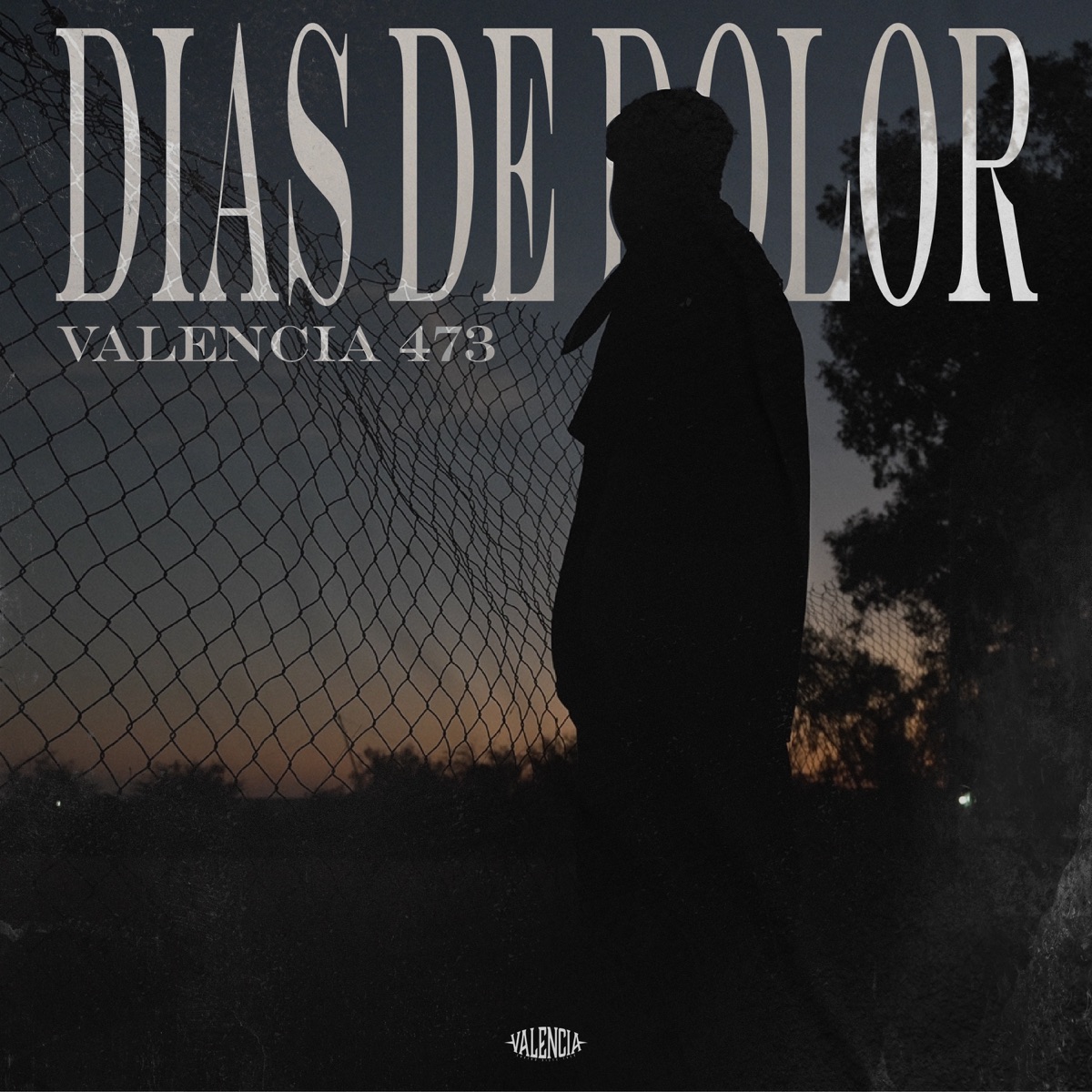 Días de Dolor - Single by VALENCIA 473 album cover