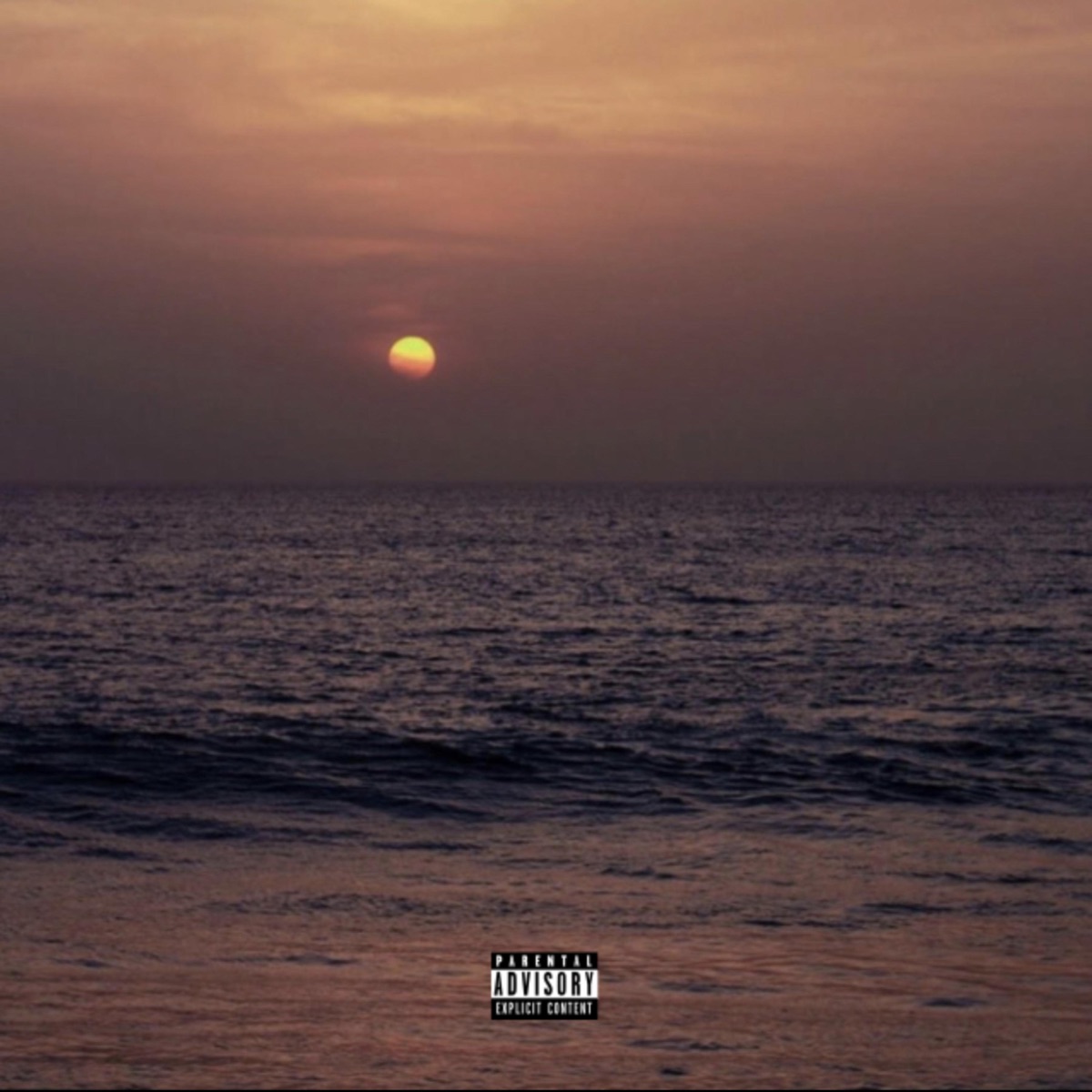 En La Noche - Single by Shahir album cover