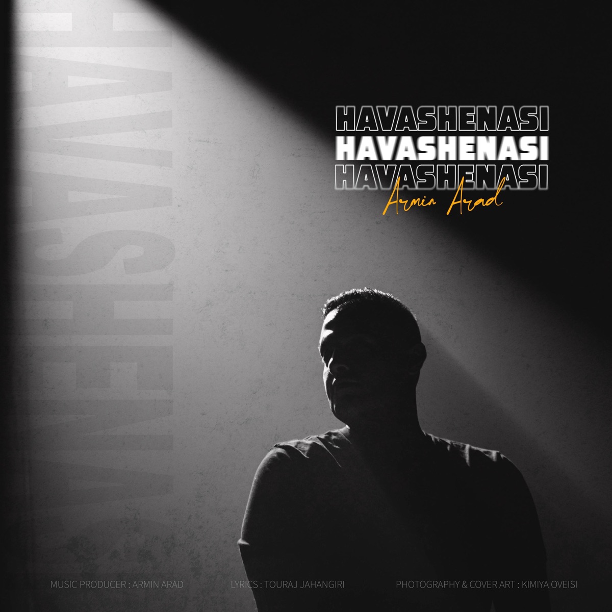 Havashenasi - Single by Armin Arad album cover