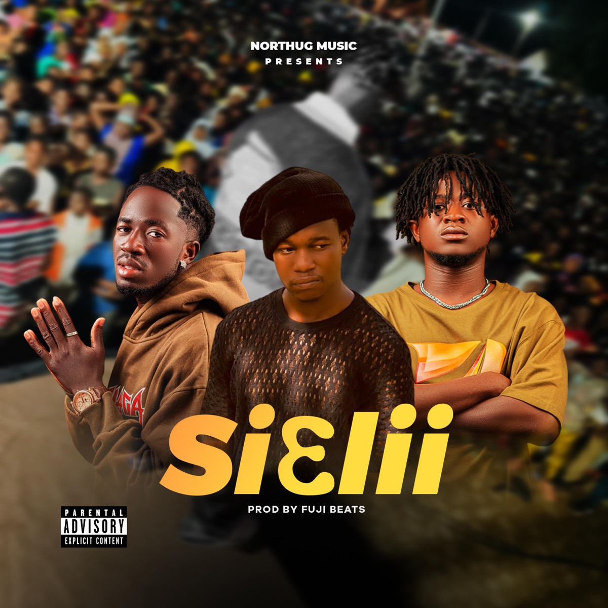 Sielii (feat. Rekordz Gh & Sambwoy Gh) - Single by NorThug album cover