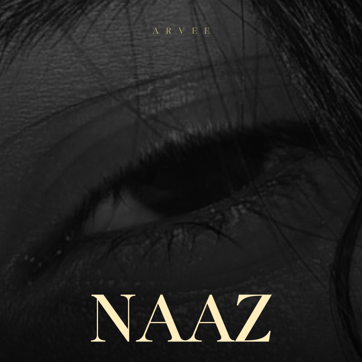 Naaz - Single by Arvee Music album cover