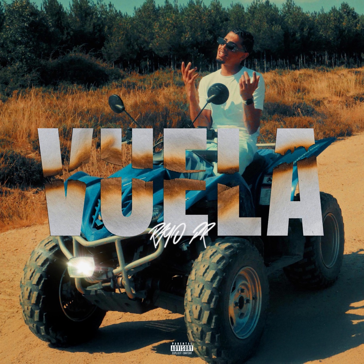 Vuela - Single by Rayo pr album cover