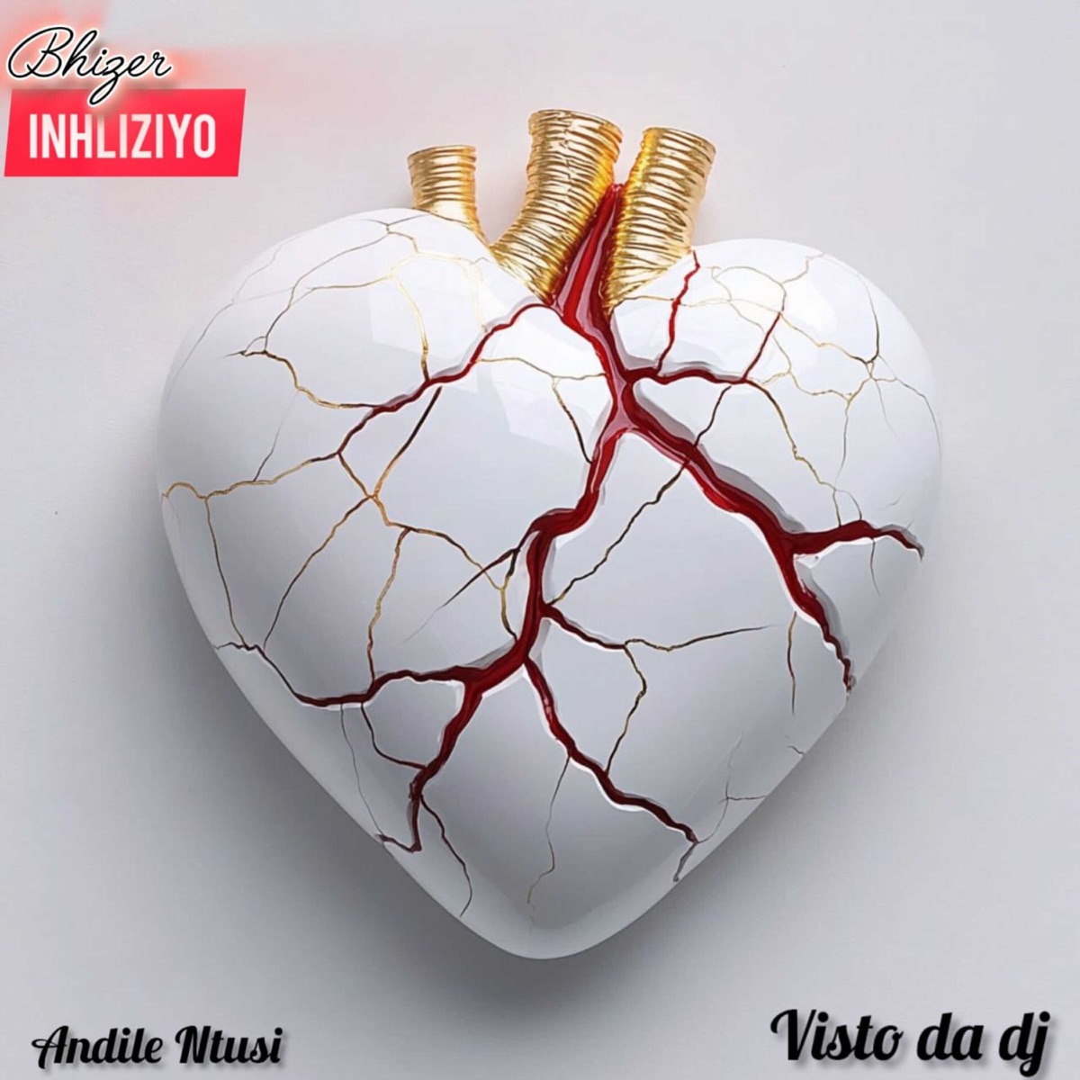 Inhliziyo (feat. Andile Ntusi,visto Da Dj) - Single by Bhizer album cover