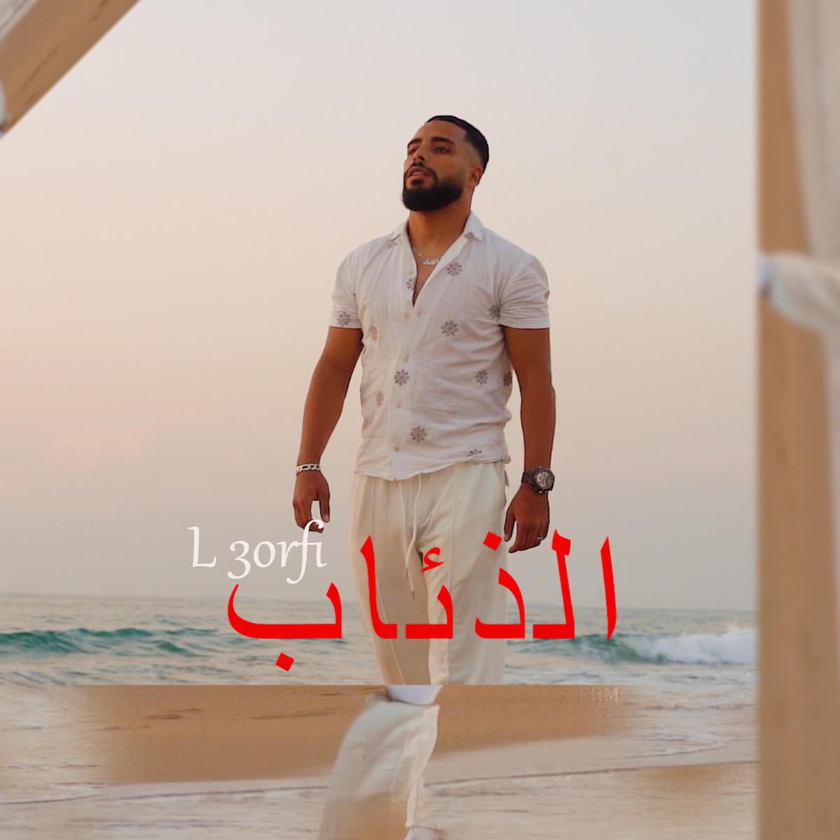 Diaab (feat. L3orfi) - Single by STEEF album cover