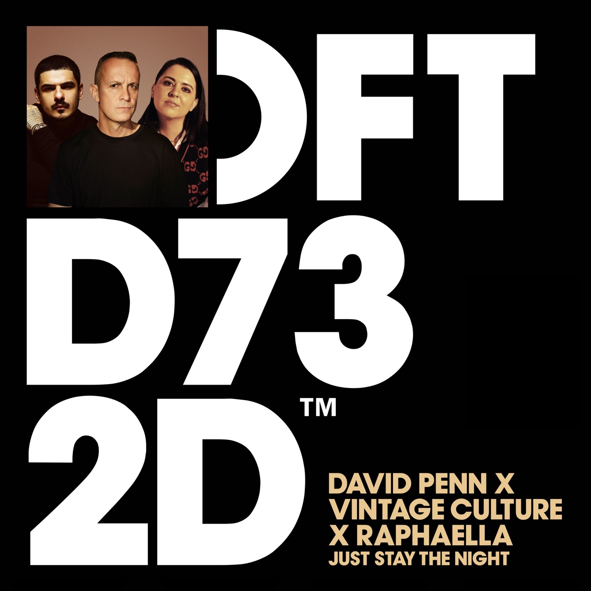 Just Stay the Night - Single by David Penn, Vintage Culture & Raphaella album cover