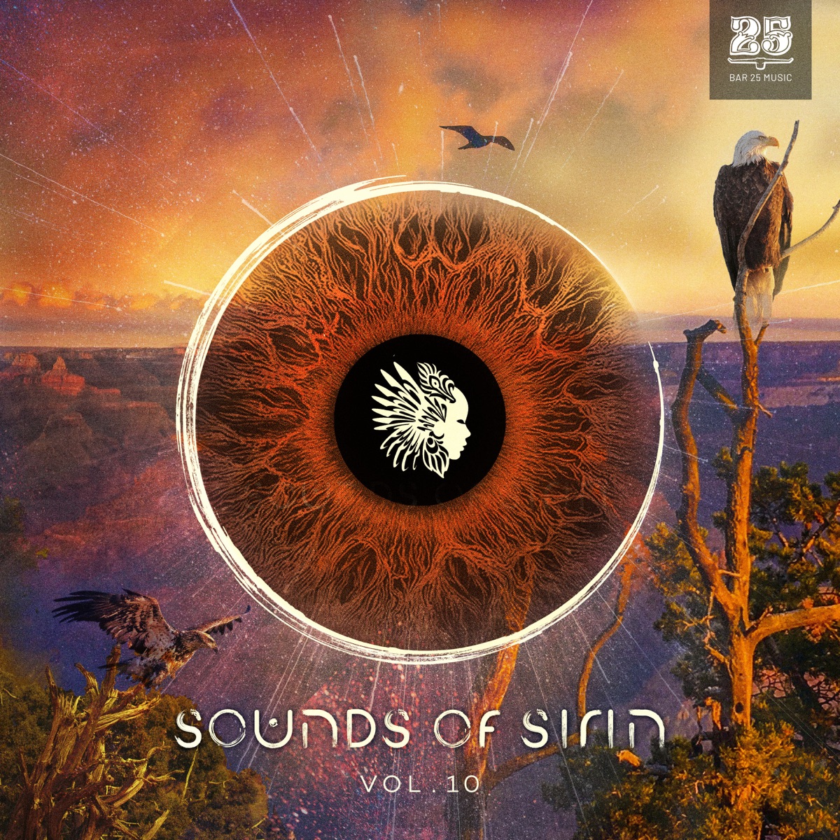 IRIS - Single by ÜNAM & Desierto y Agua album cover