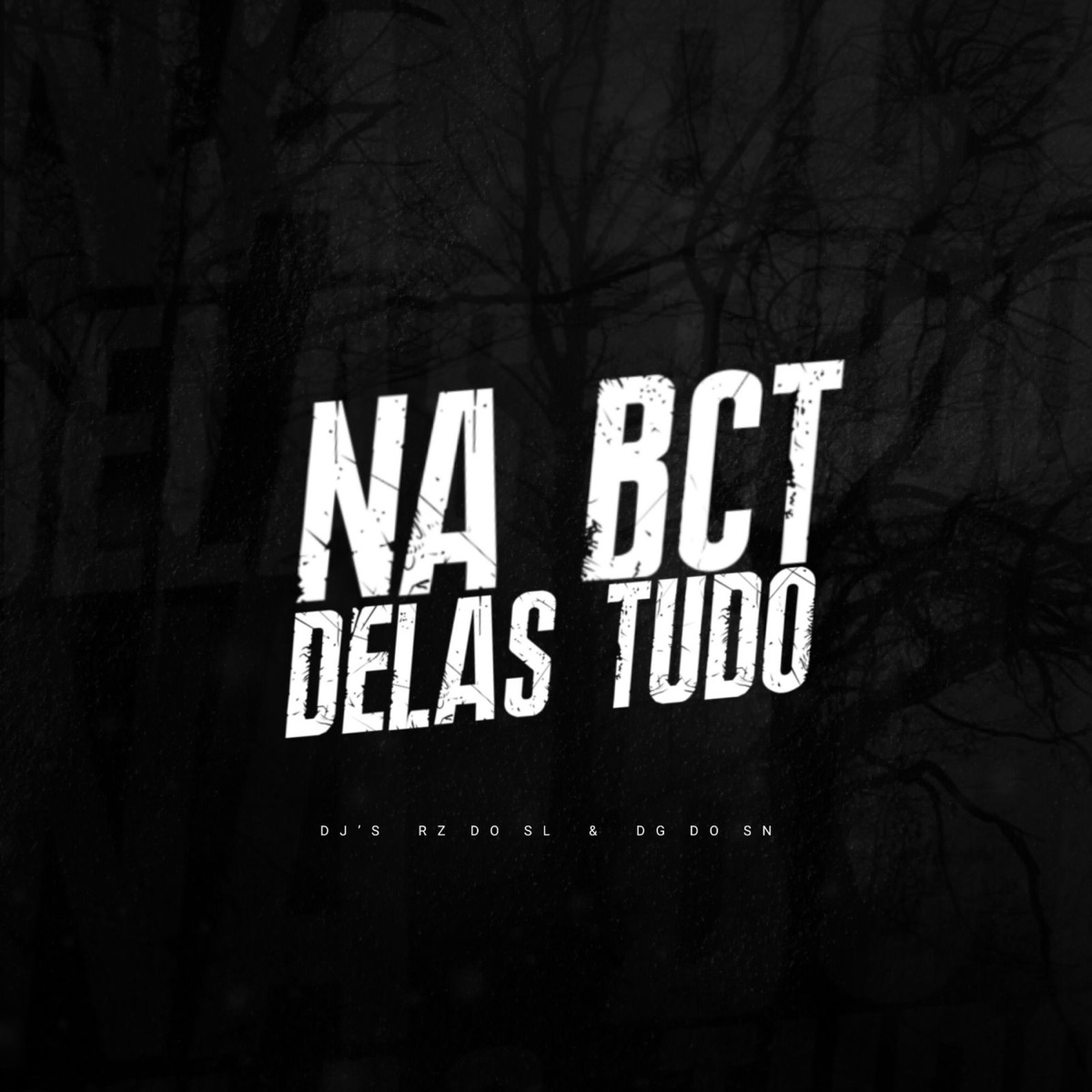 NA BCT DELAS TUDO - Single by DJ RZ DO SL, Dj Dg Do Sn & Mc Magrinho album cover