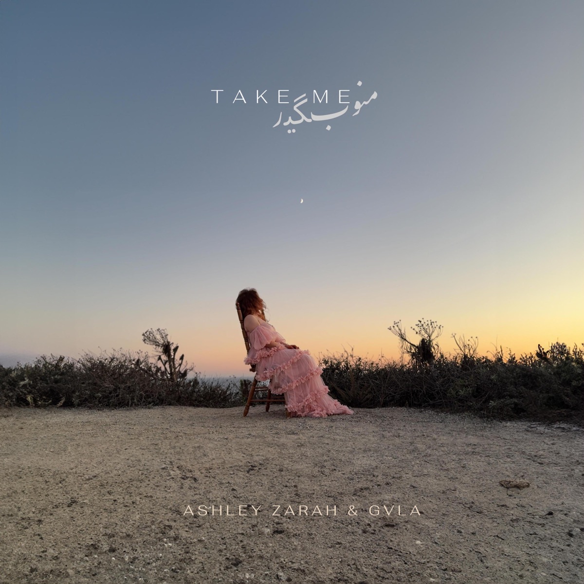 Take Me (منو بگیر) - Single by Ashley Zarah & Gula album cover