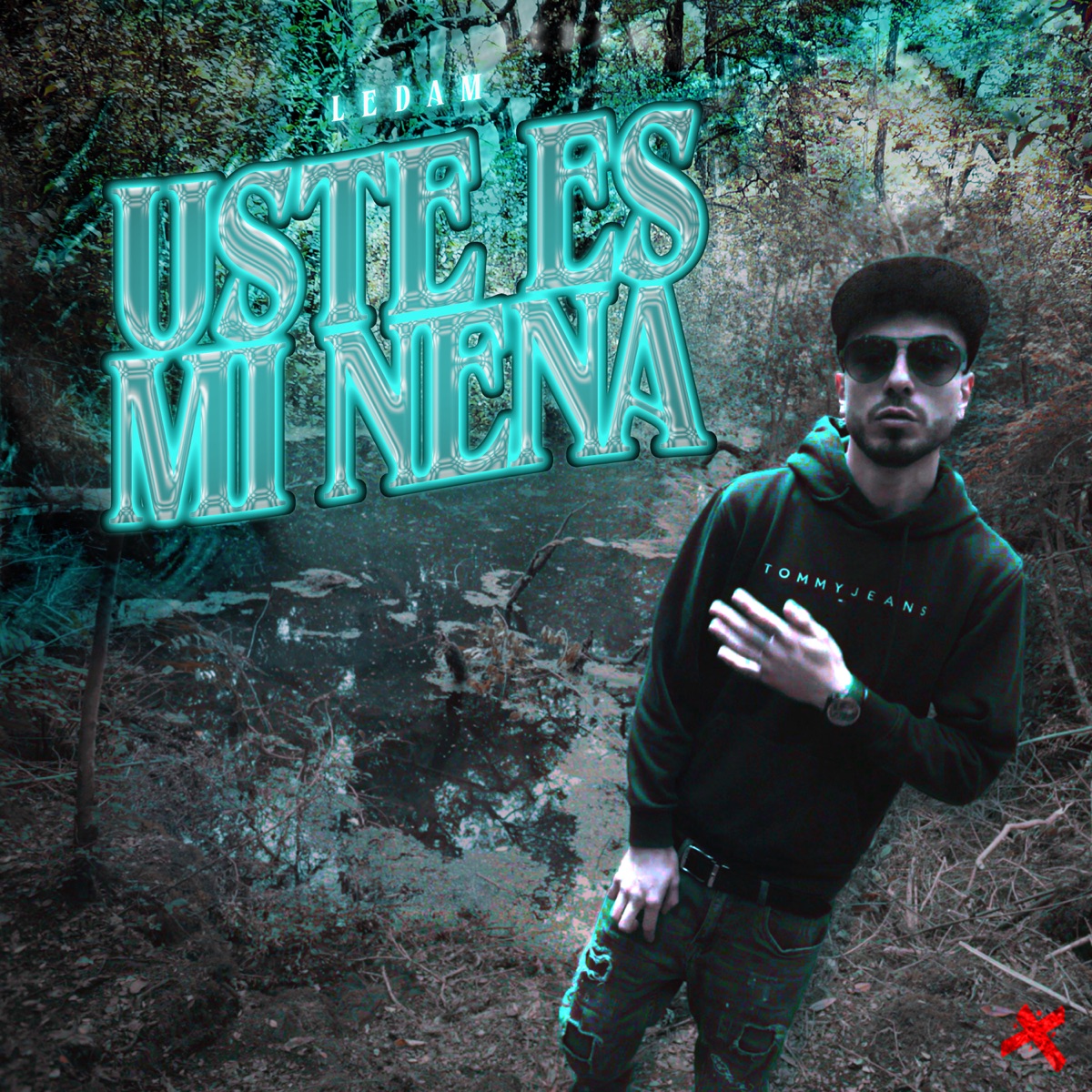 USTE ES MI NENA - Single by LEDAM album cover