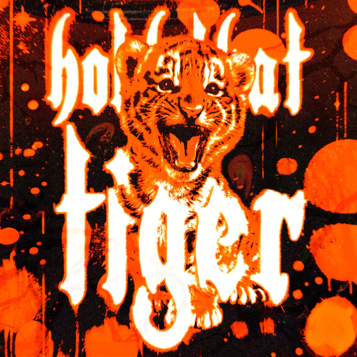hold that tiger (versions) - EP by HYFY album cover