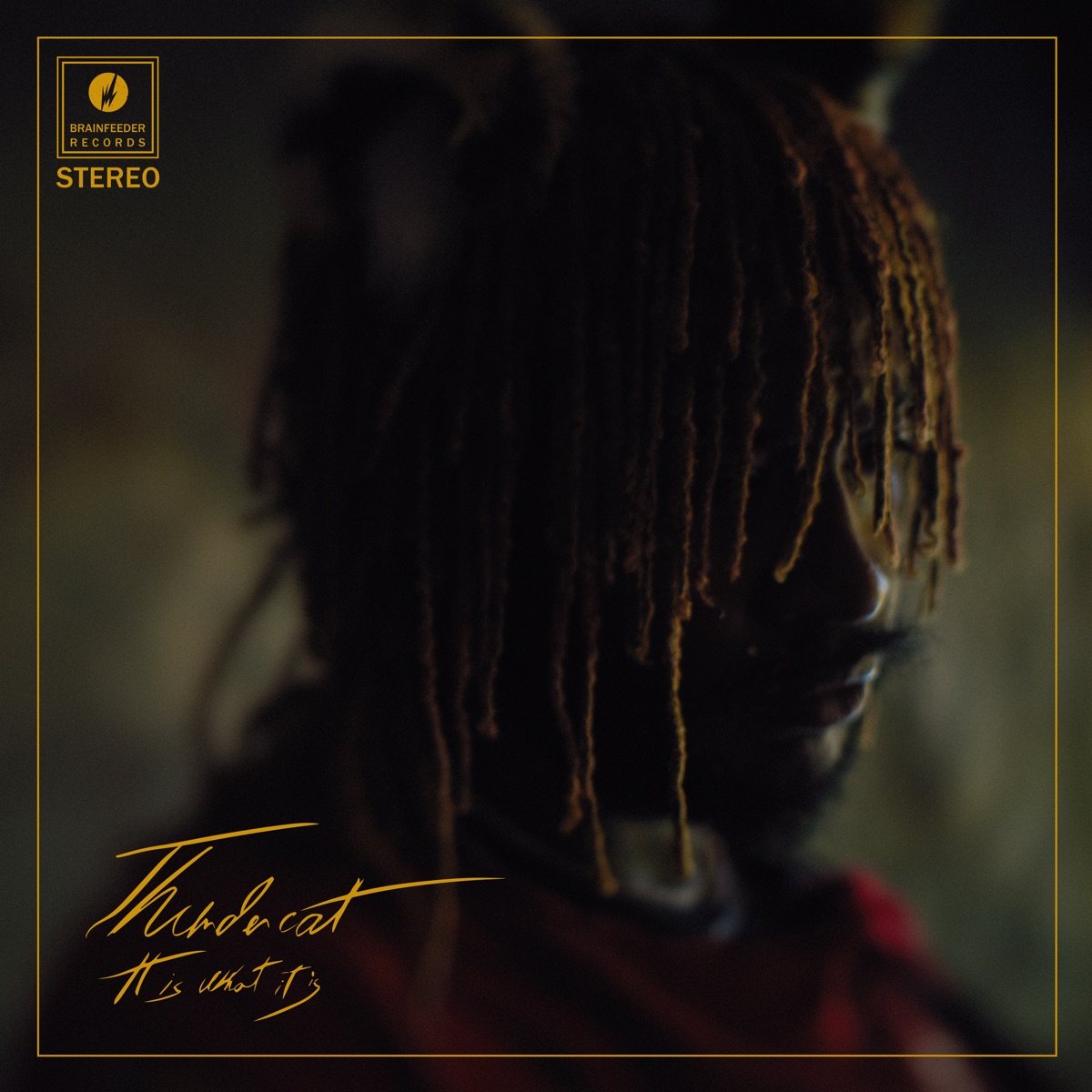It Is What It Is by Thundercat album cover