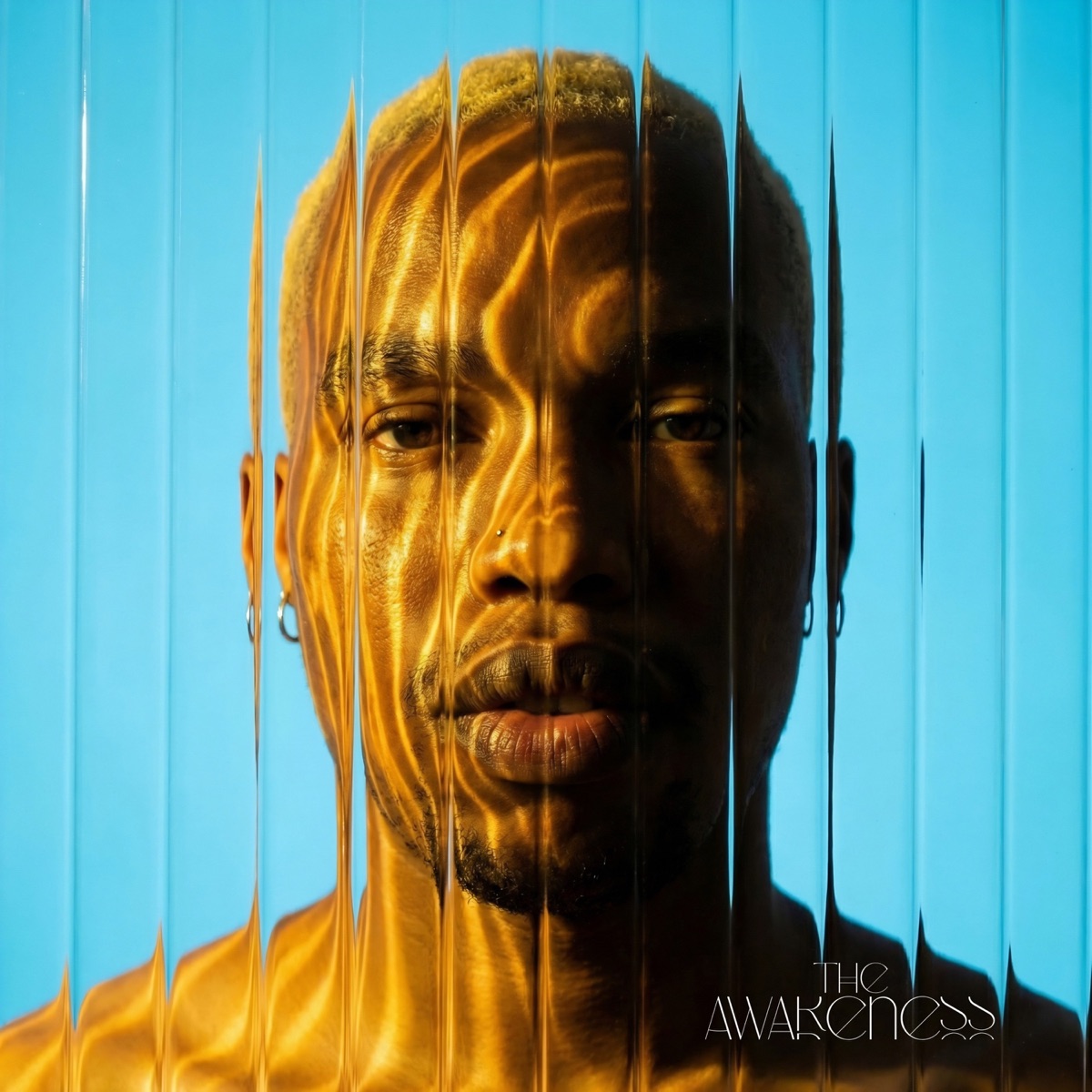 THE AWARENESS - Single by Tyga Bankz & Malome Tiger album cover