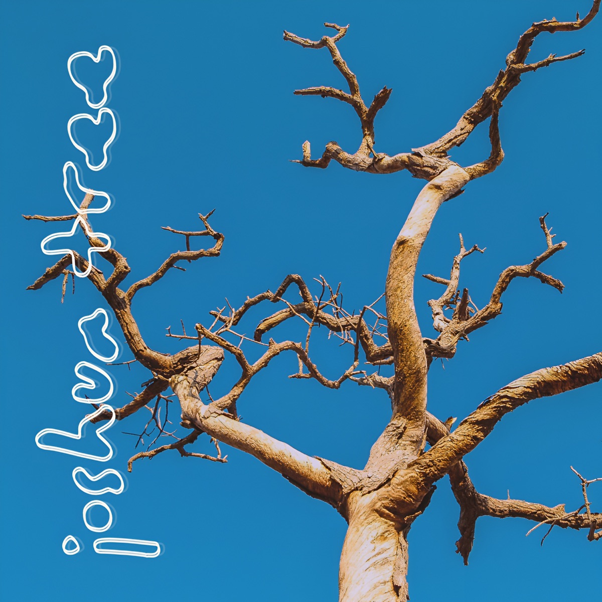 JOSHUA TREE - Single by 808 HNDRX album cover