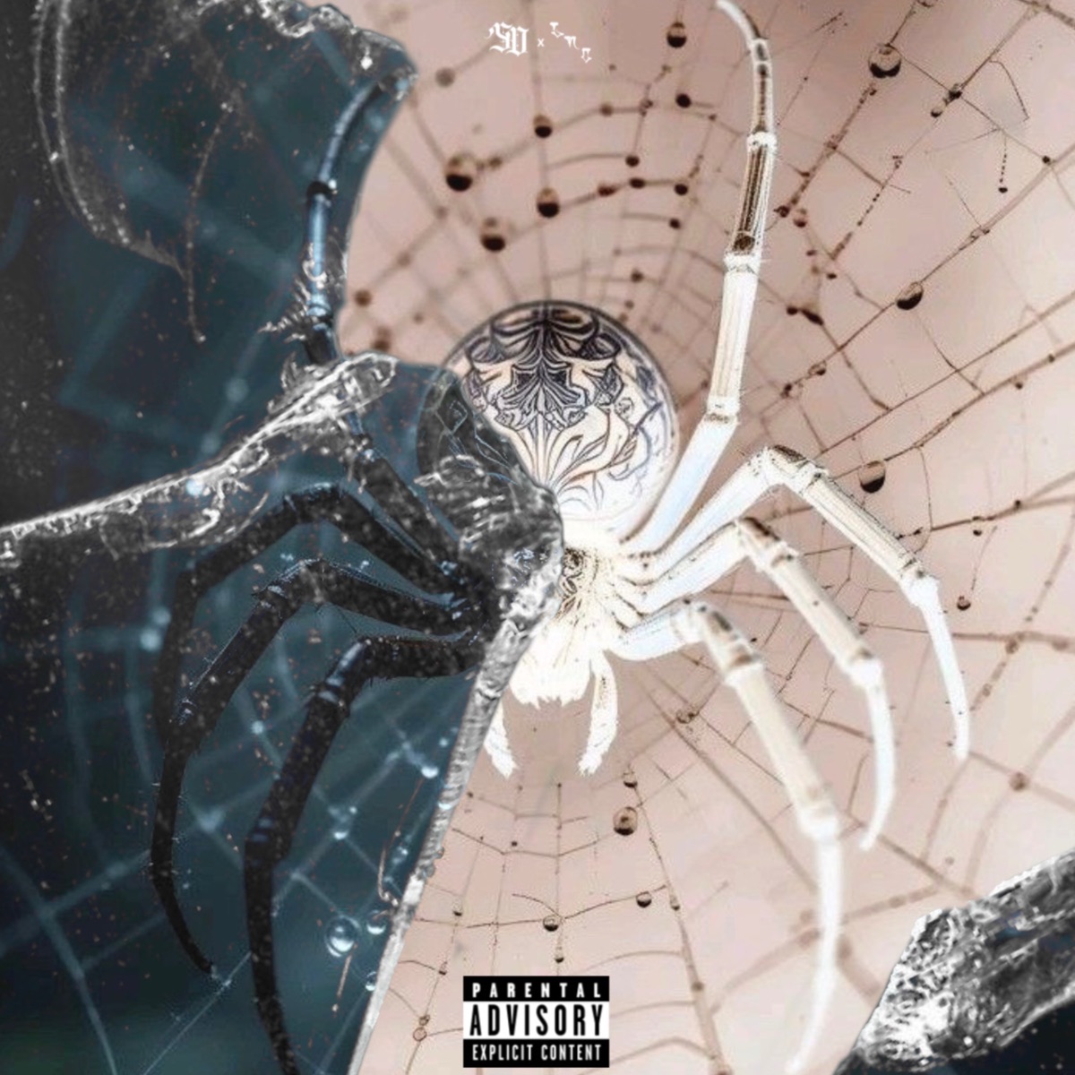 Aldiablo - Single by BOOM-C album cover