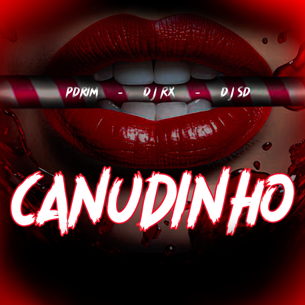 Canudinho - Single by DJ RX, dj sd & Pdrim album cover